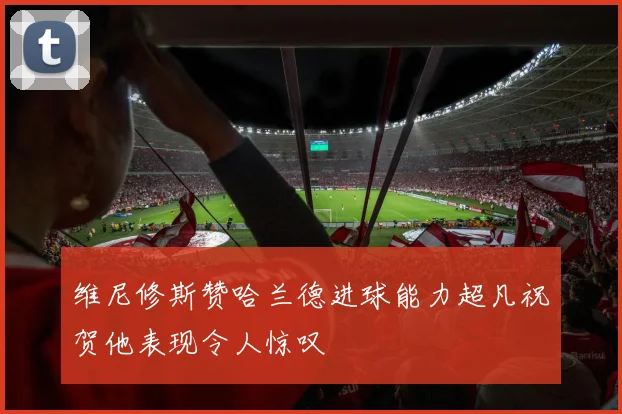 维尼修斯赞哈兰德进球能力超凡祝贺他表现令人惊叹