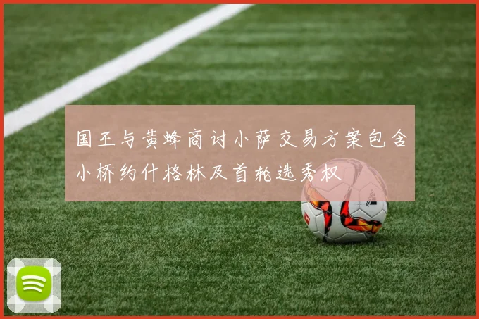 国王与黄蜂商讨小萨交易方案包含小桥约什格林及首轮选秀权