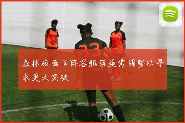 森林狼面临阵容瓶颈亟需调整以寻求更大突破
